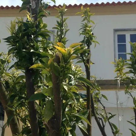 Casa Da Adega, Sobral Holiday home Sobral do Parelhao