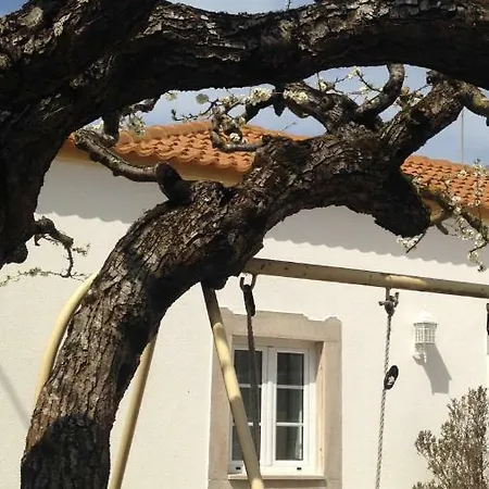 Casa Da Adega, Sobral Holiday home *